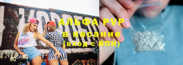 стафф Алексин