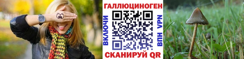 дарк нет какой сайт  Кириши  Галлюциногенные грибы MAGIC MUSHROOMS 